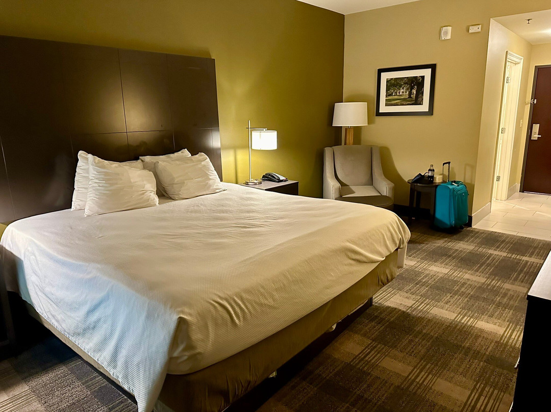 Best Western Plus New Orleans Airport Hotel主图