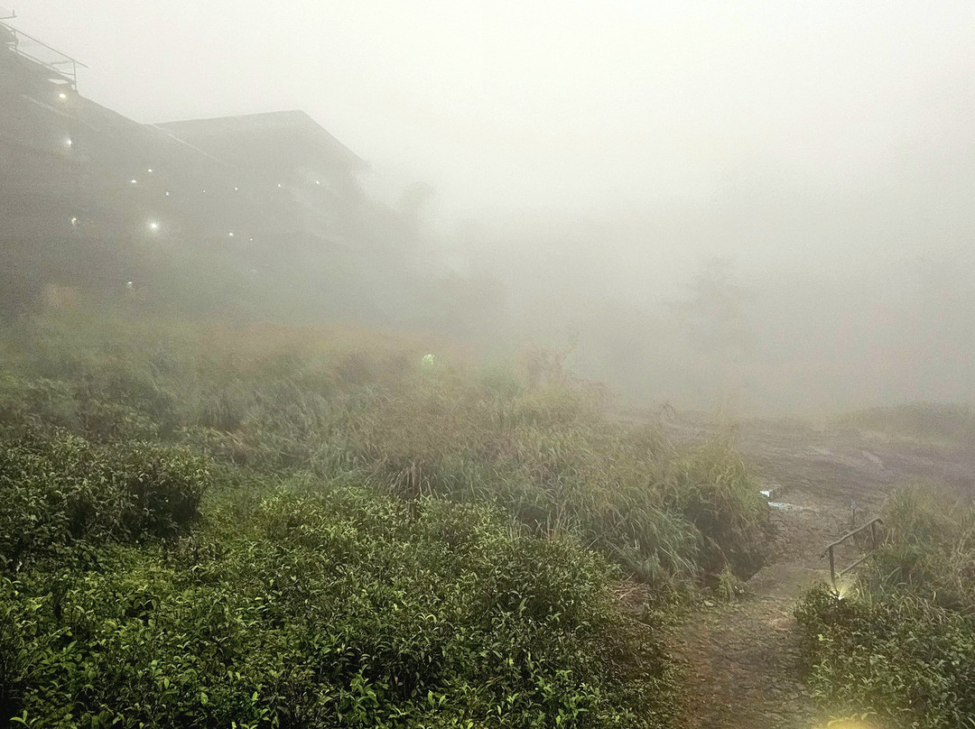 Rainforest Ecolodge主图