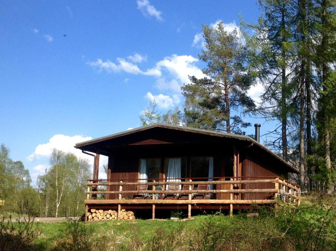 Woodland House Bed and Breakfast