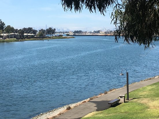 奥克兰行政酒店&套房主图