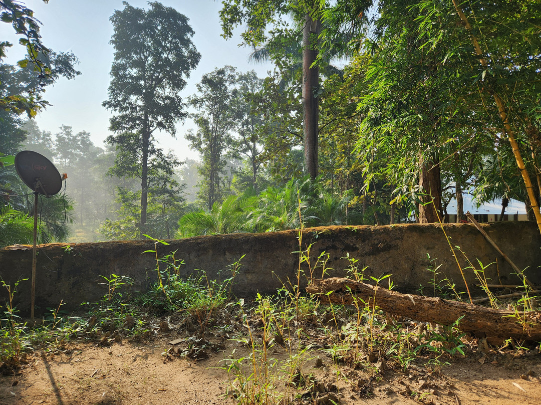 Tuli Tiger Resort主图