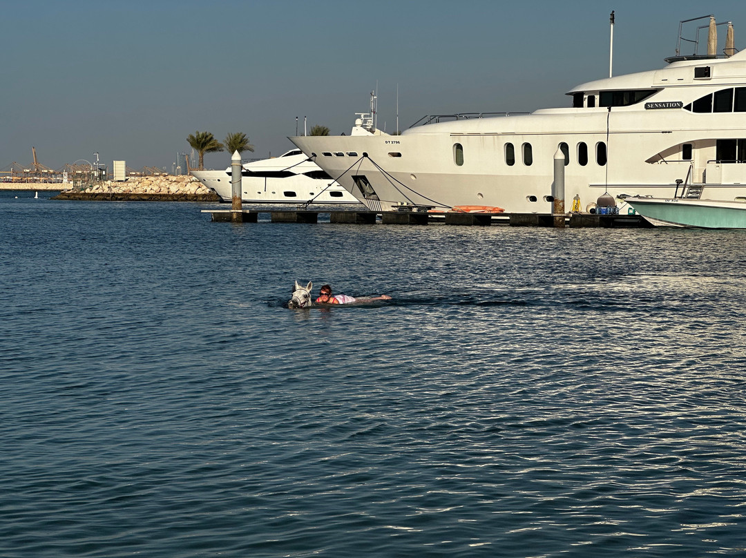 JA Equestrian Centre-杰贝阿里必去景点