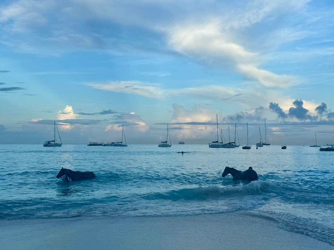 Pebbles Beach-布里奇顿必去景点