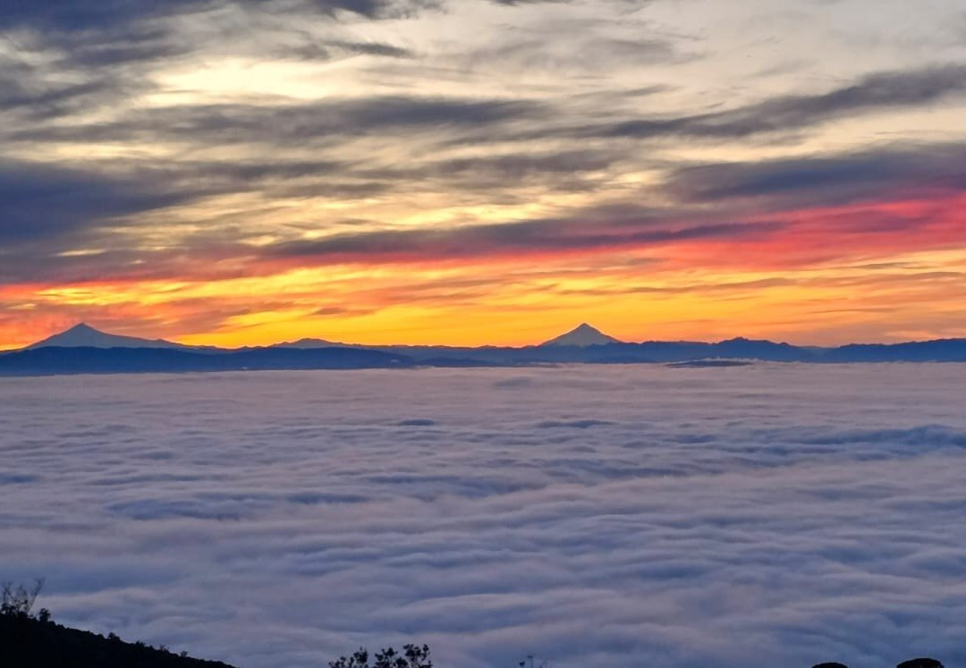 NORTH PATAGONIA  TRAVEL-瓦尔迪维亚必去景点