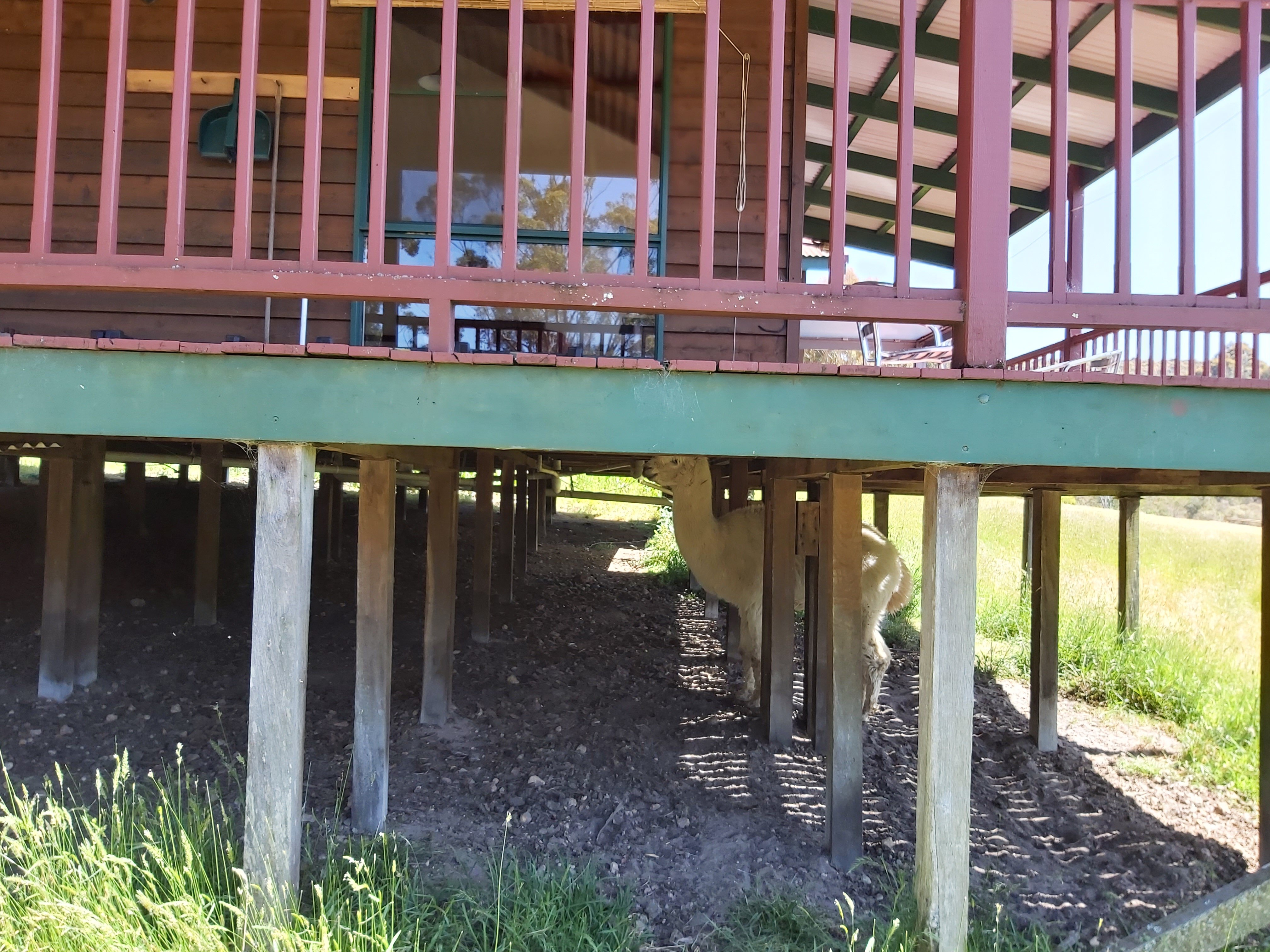 Walpole Wilderness Resort-官方