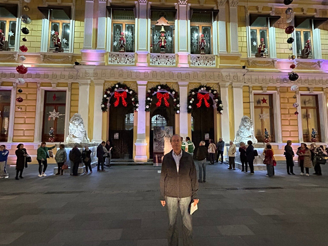 Palacio Municipal de Orizaba景点图片