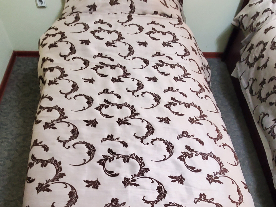 Hotel "Ak Altyn"主图