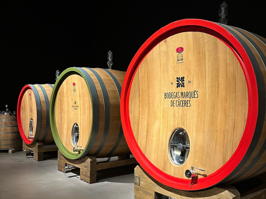 Bodegas Marqués De Cáceres-Cenicero必去景点