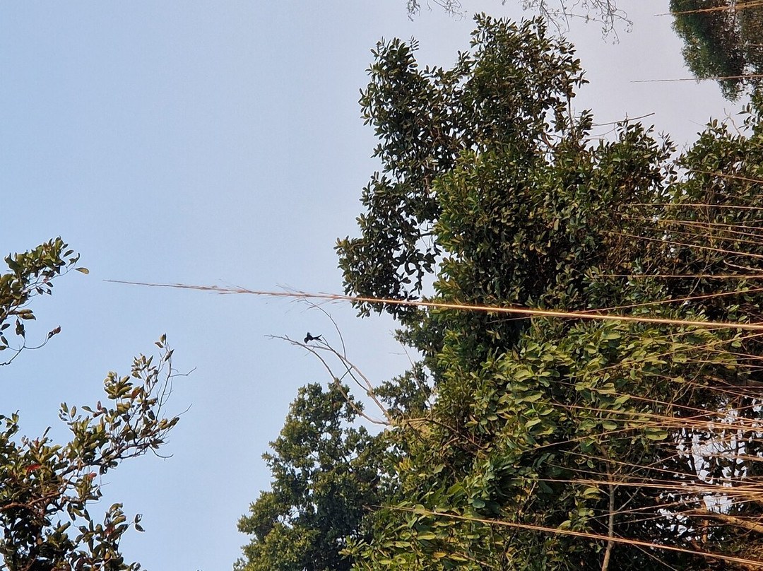 The Jungle Book Safari & Tours,  Chitwan National Park景点图片