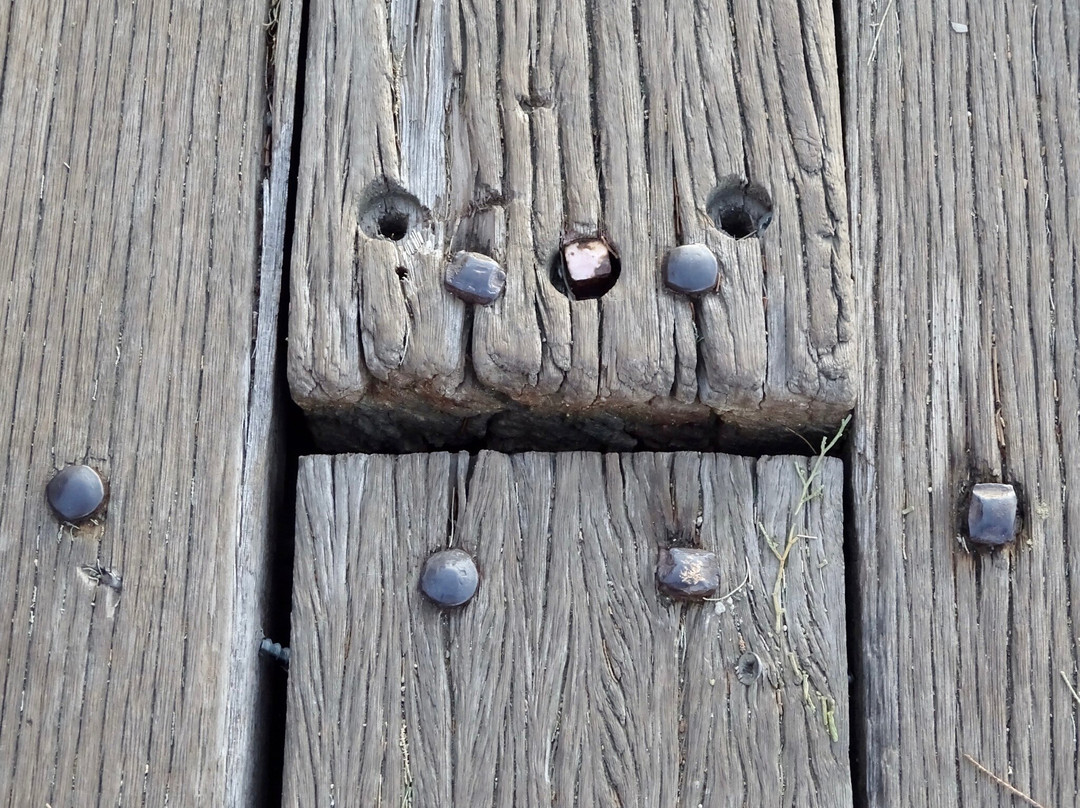 Larnaca Marina-拉纳加必去景点