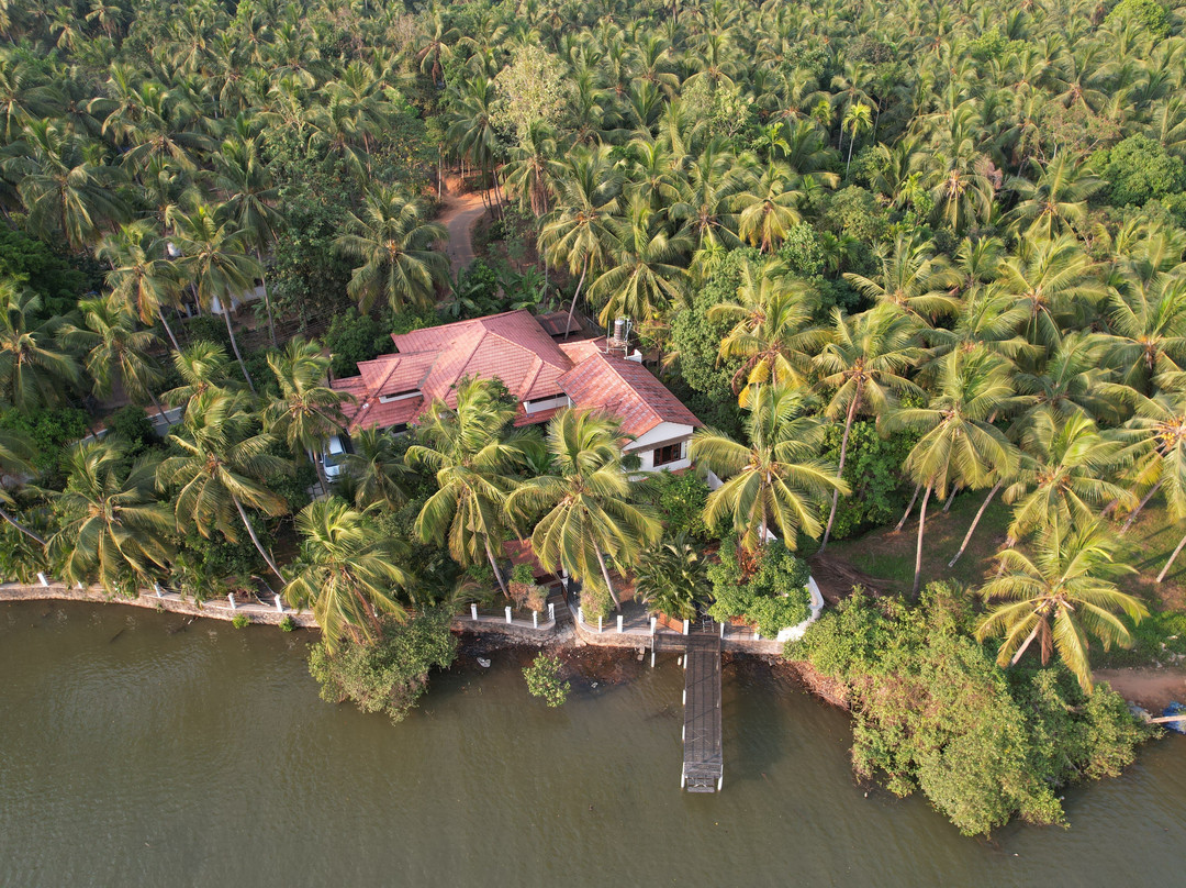Bellevue Homestay And Wellness Centre