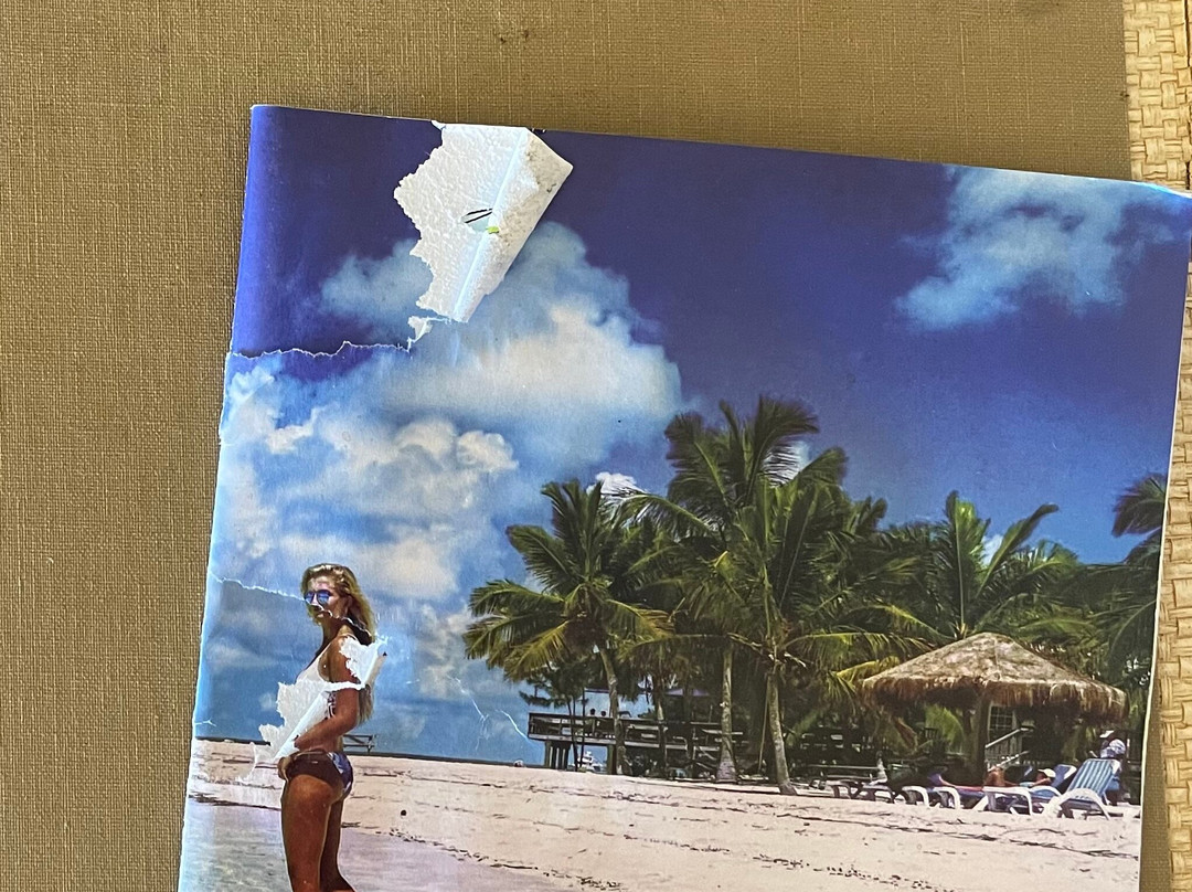 Old Bahama Bay主图