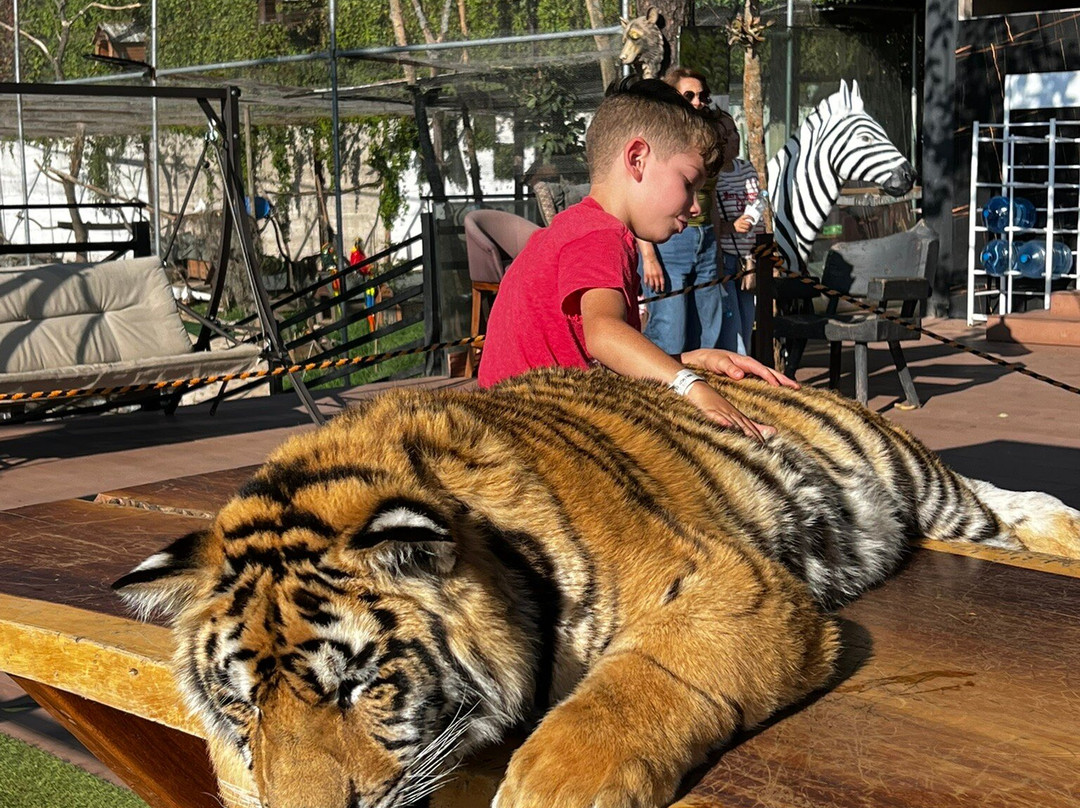 Panoramex Tours & Travel-瓜达拉哈拉必去景点