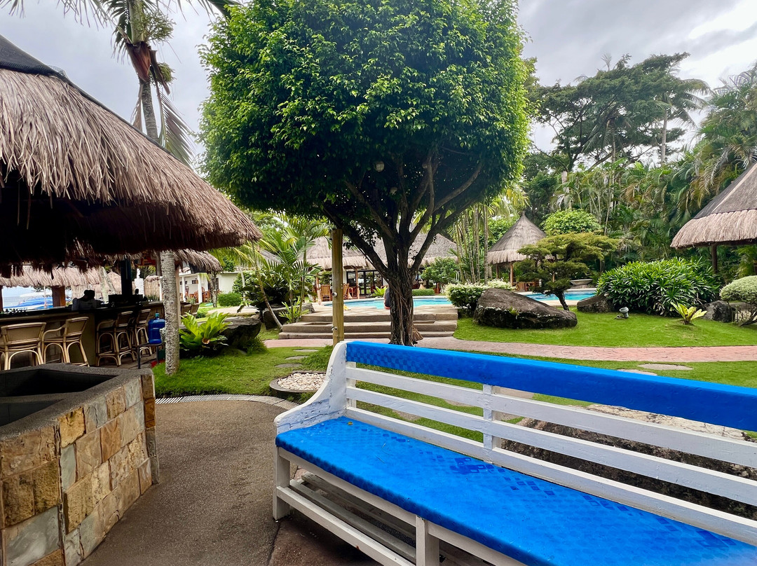 Pura Vida Beach & Dive Resort主图