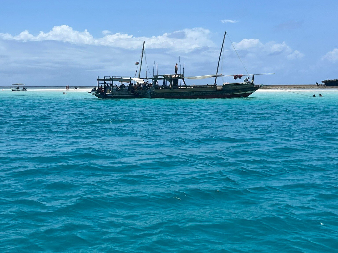 Wasini Dolphin Tour-Wasini Island必去景点