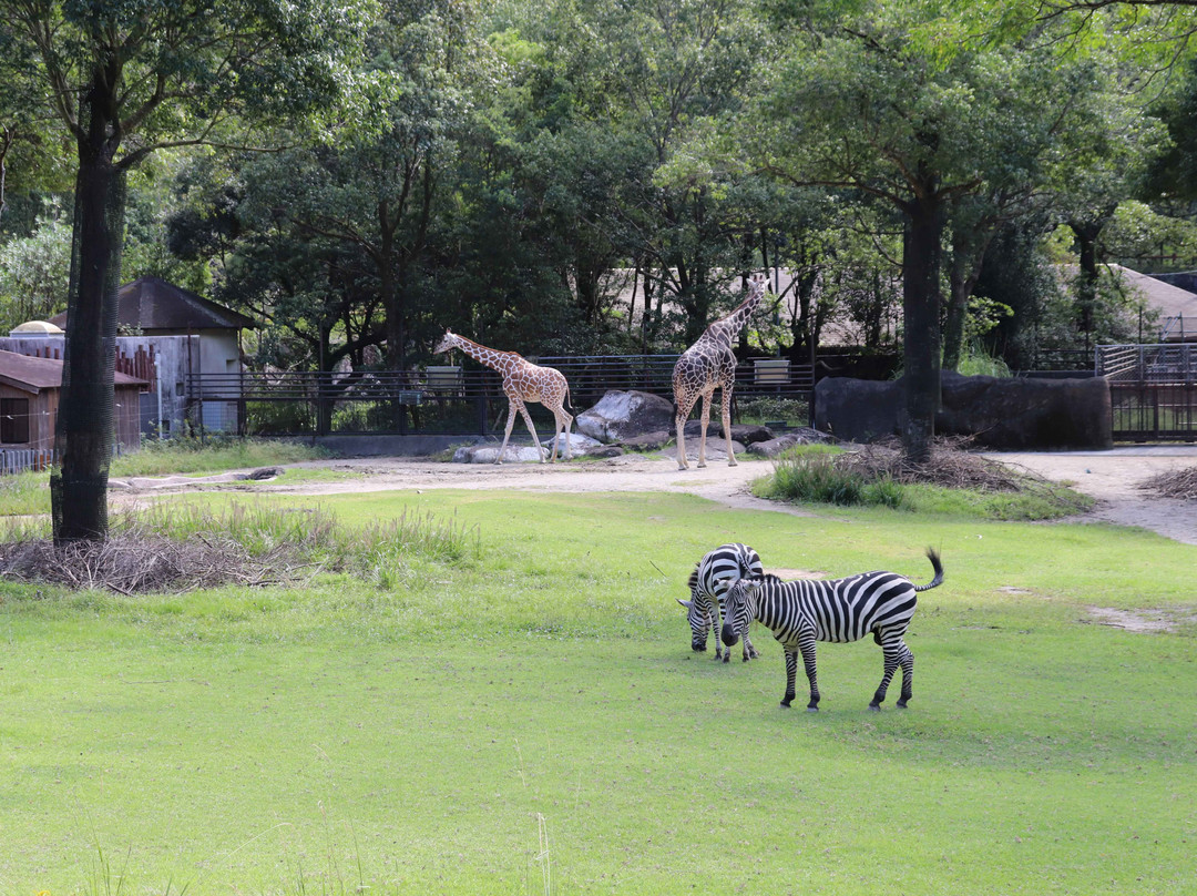 Noichi Zoological Park of Kochi Prefecture-香南市必去景点