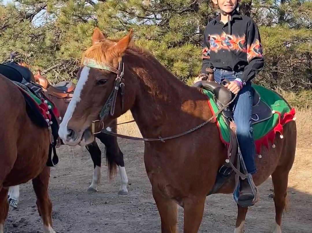 Christine's Horseback Riding-卡尼必去景点