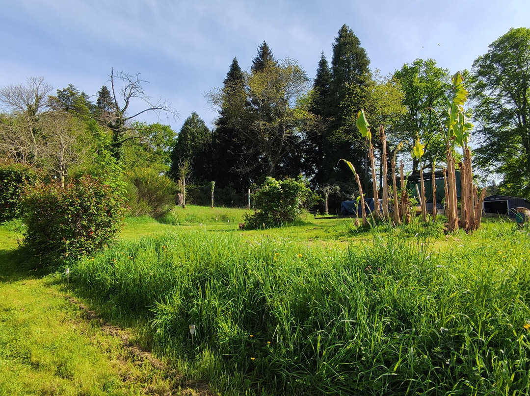 13 Bees Chambre d'Hote (B&B) and Beekeeping Holidays主图