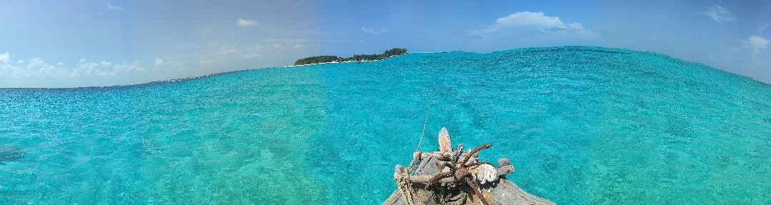 Scubafish Dive Center Ltd-Matemwe必去景点