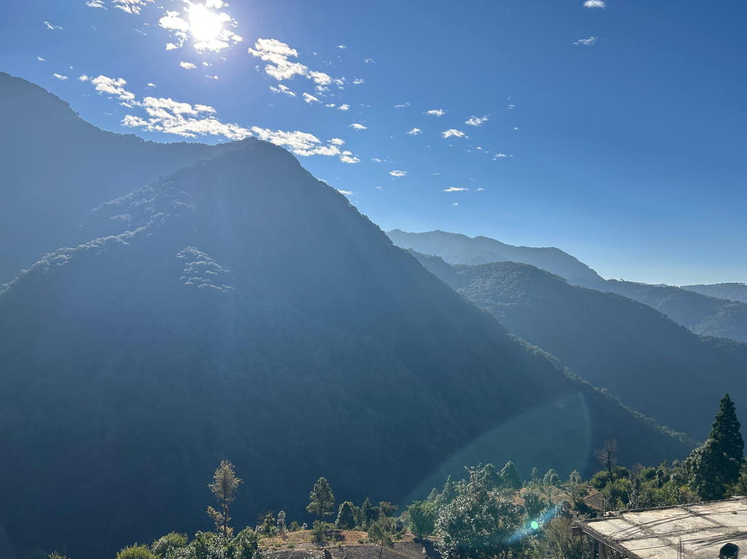 Seclude Pangot, Perch主图