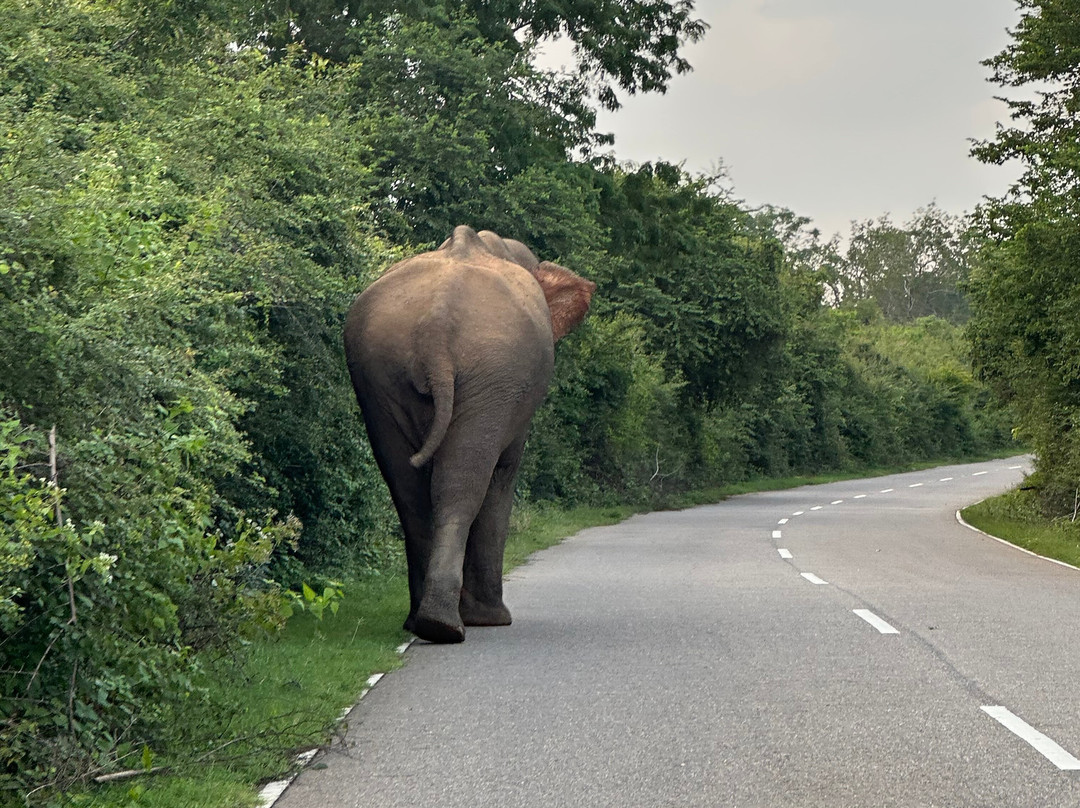 Yaye Guesthouse主图