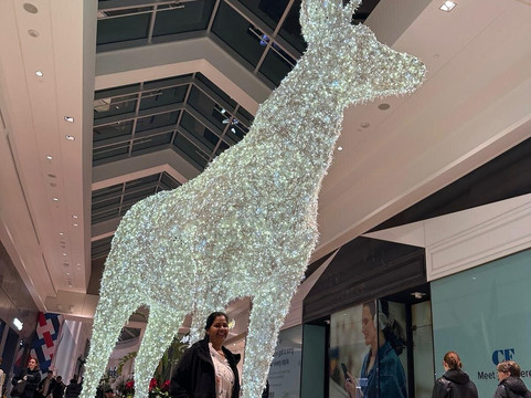 舍维花园购物中心-多伦多必去景点