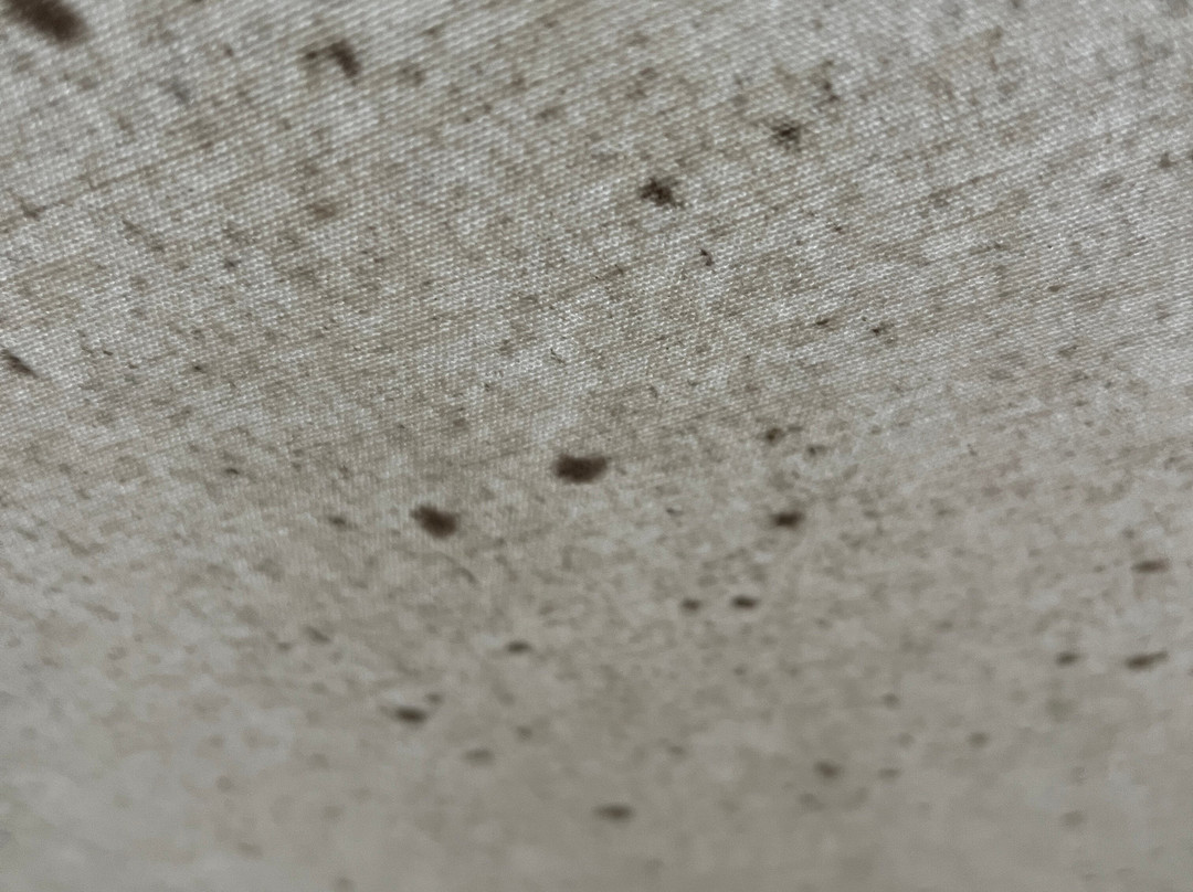 Mayfield Garden-Oberon必去景点