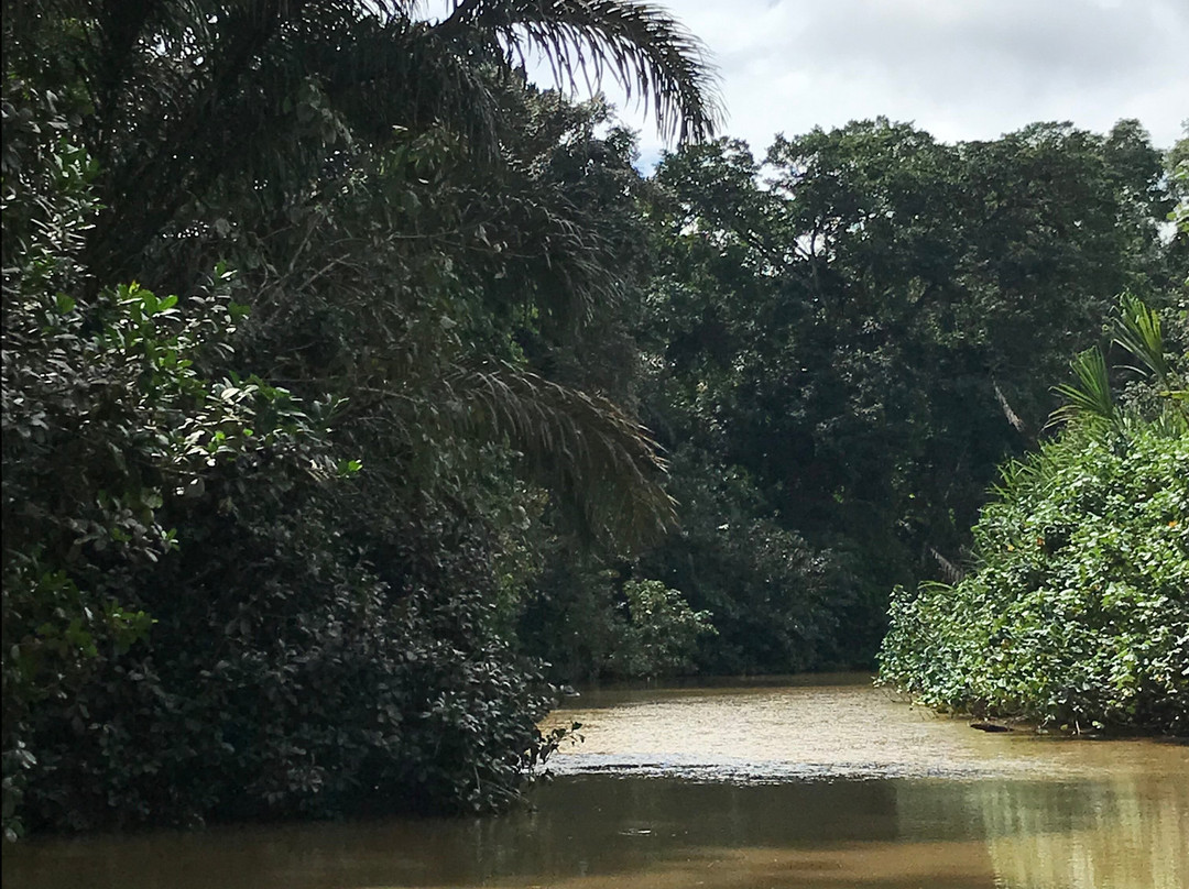 Tortuguero Canal景点图片