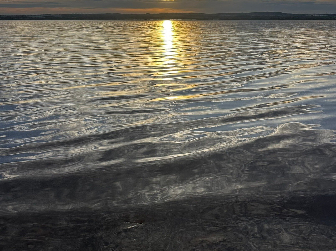 Laguna Salada de Torrevieja景点图片