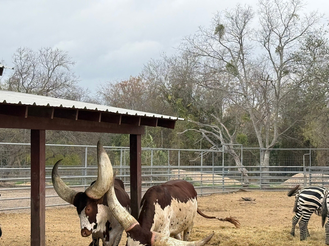 Animal World and Snake Farm Zoo-新布朗费尔斯必去景点