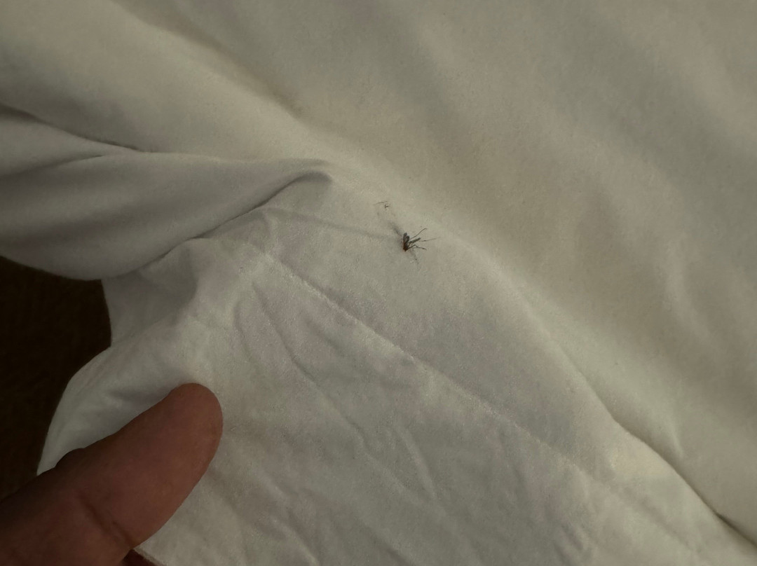 Diemersfontein Wine & Country Estate主图