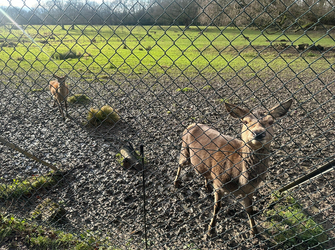 Essex Wildlife Trust Bedfords Park Visitor Centre景点图片