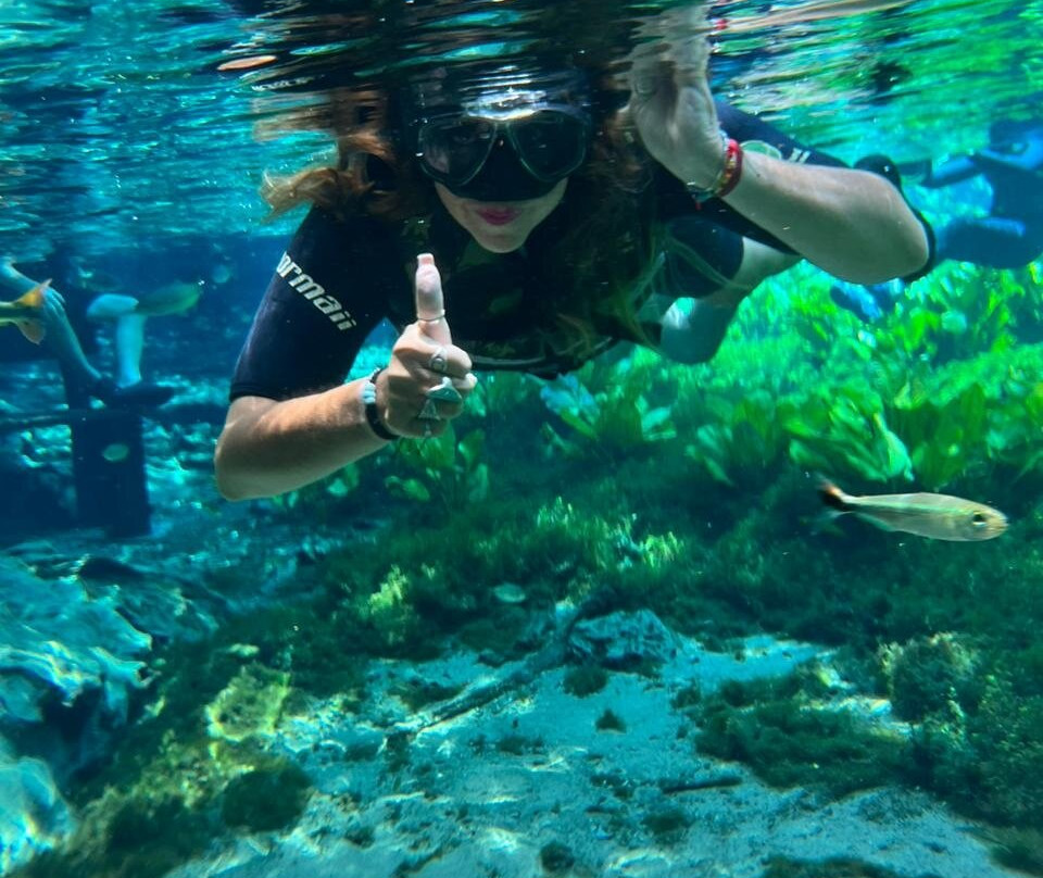 Aquário de Bonito-博尼图必去景点