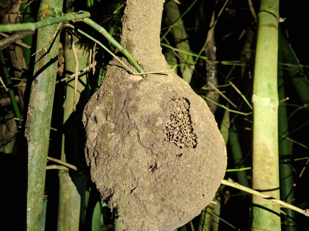 Suforyou-帕拉马里博必去景点