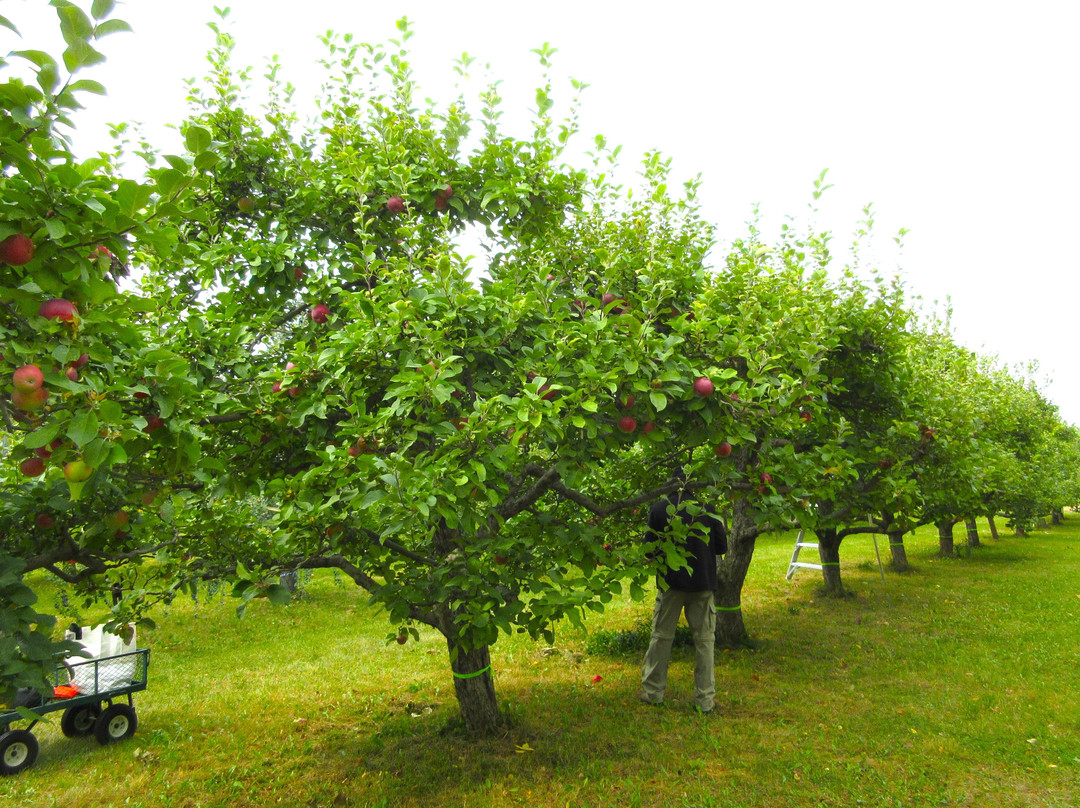 Les Vergers Du Cap-Cap-Saint-Ignace必去景点