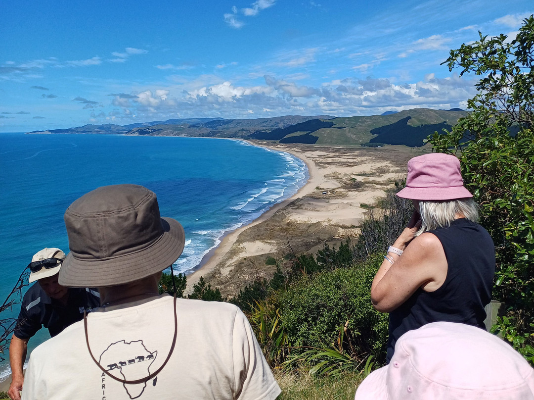 Cape Kidnappers景点图片