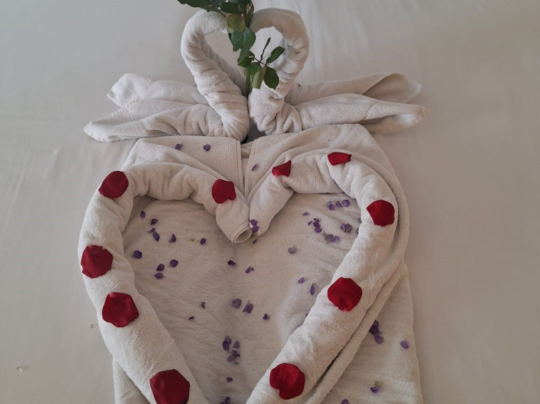 伊波罗之星度假酒店主图