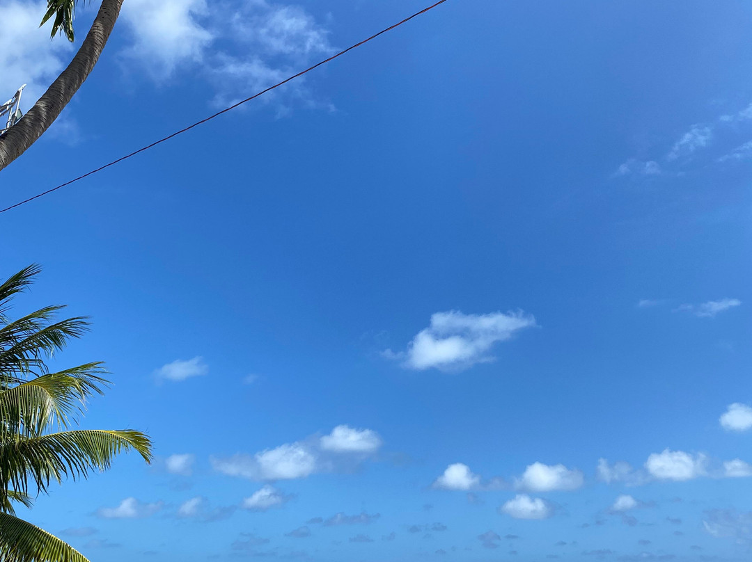 Maré Viva Passeios Turísticos-Maceio必去景点