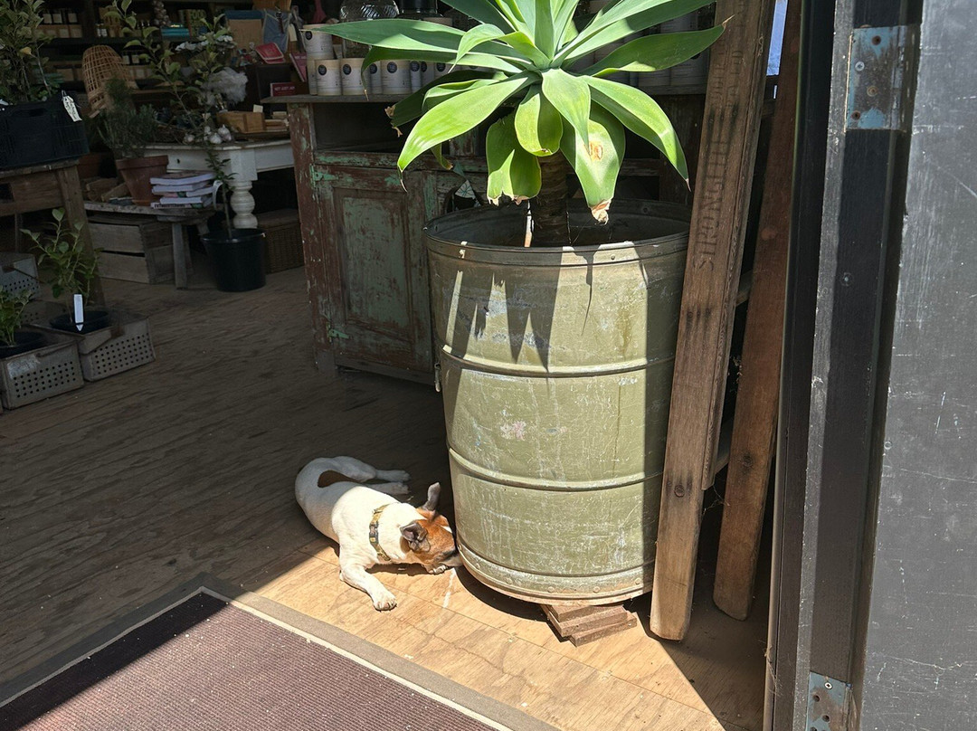 Black Barn Farm-Stanley必去景点