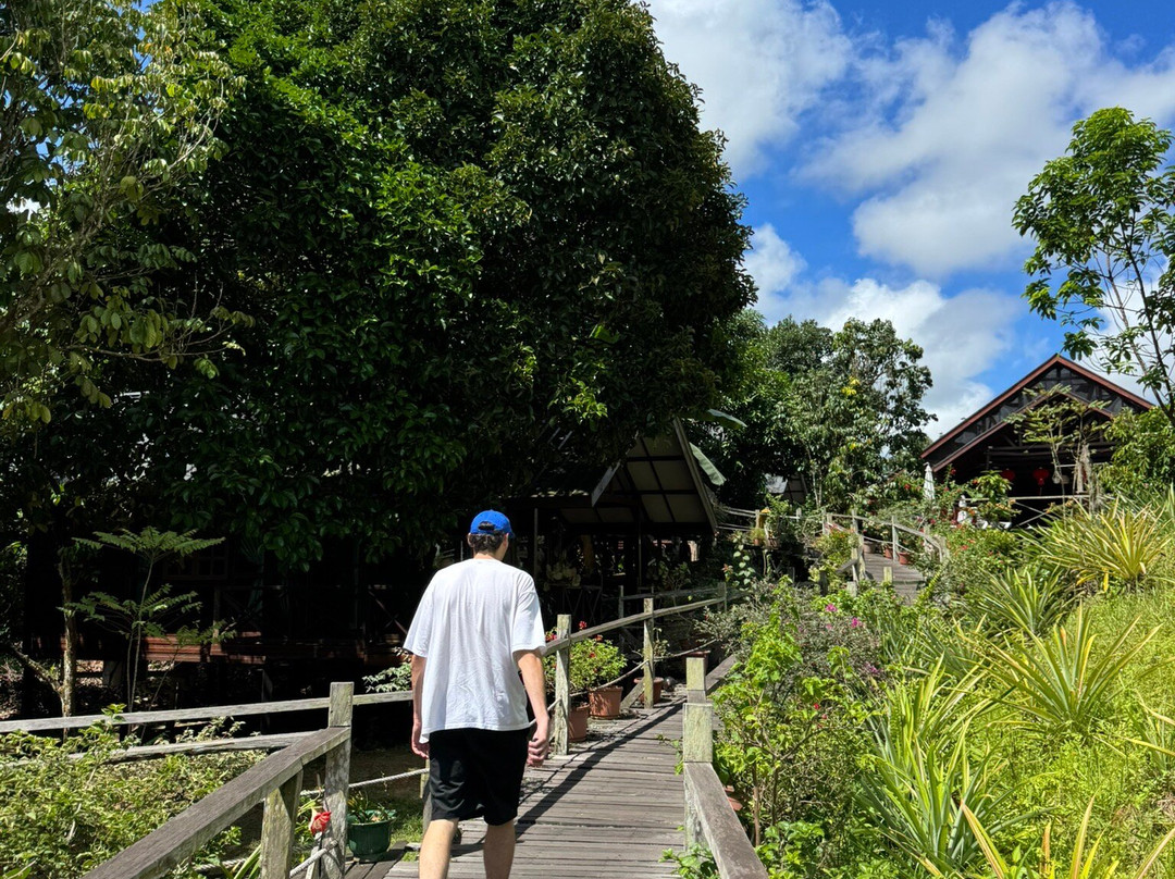 Borneo Sepilok Rainforest Resort主图