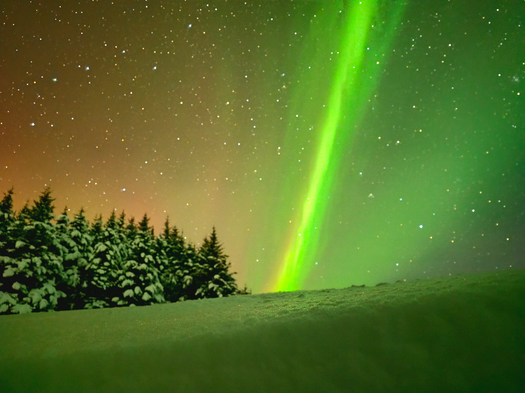 Buubble Tours-雷克雅未克必去景点