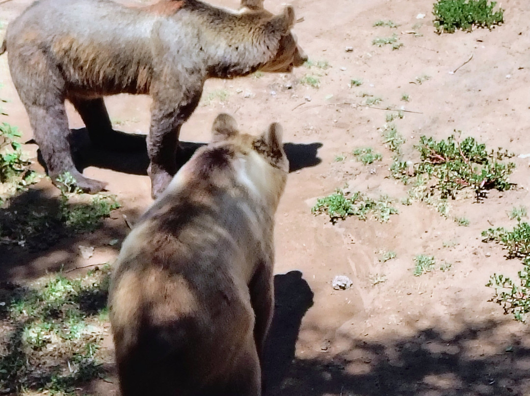 Eco de América-América必去景点