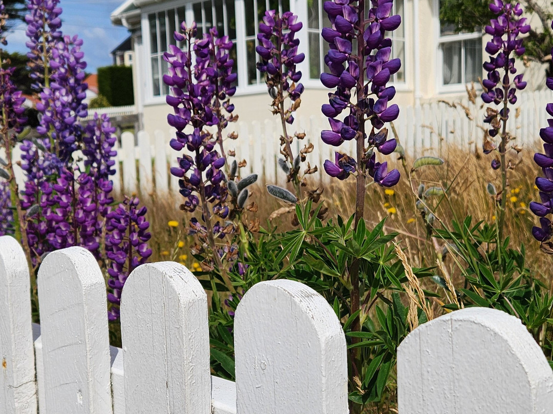 lucky Private Tour-Stanley必去景点