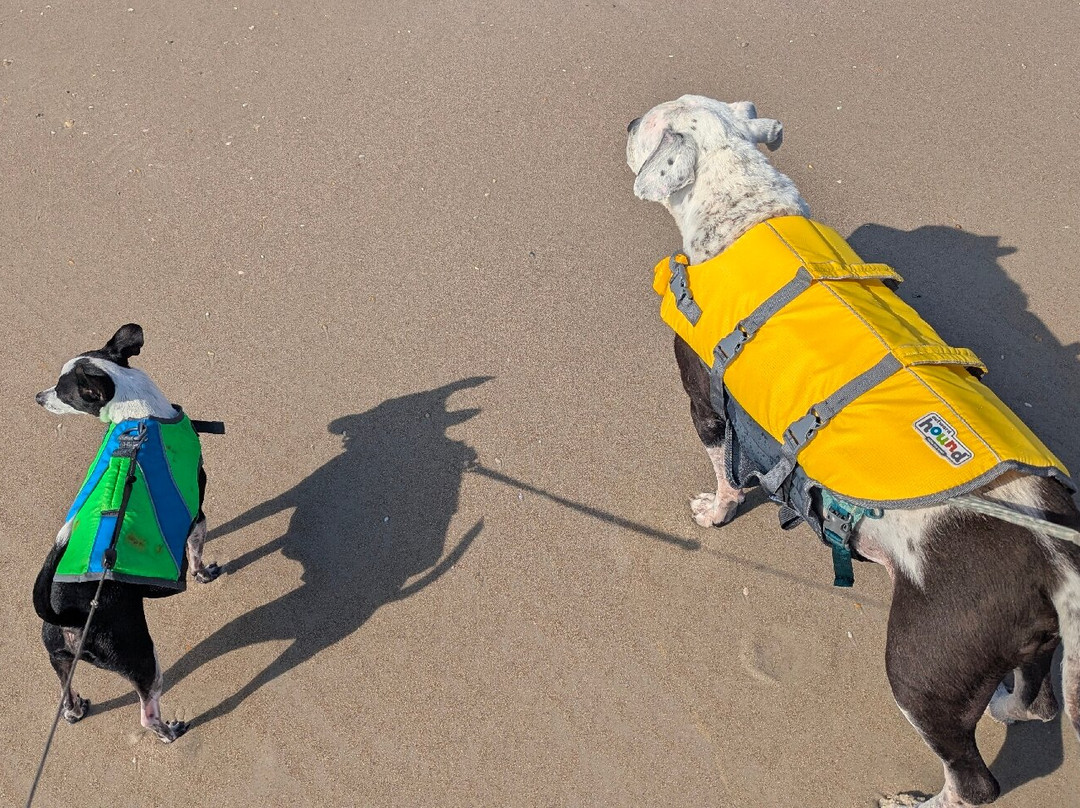 Crescent Beach Public Beach-Crescent Beach必去景点