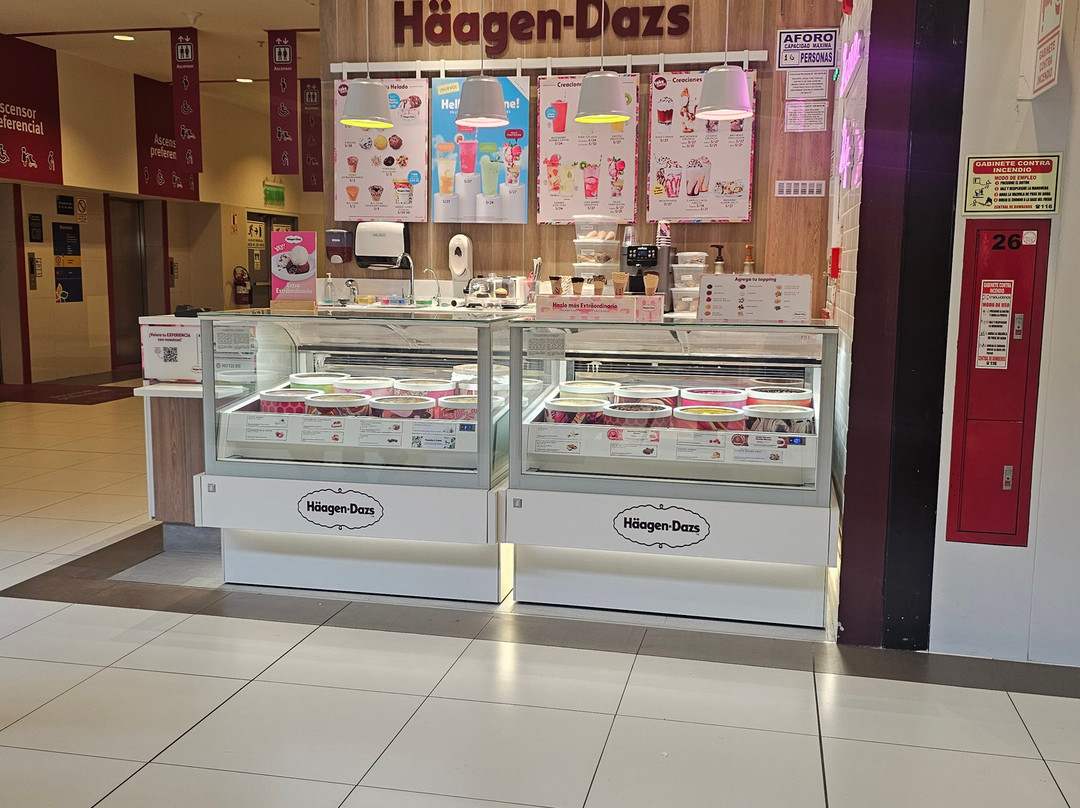 Häagen-Dazs Mall del Sur