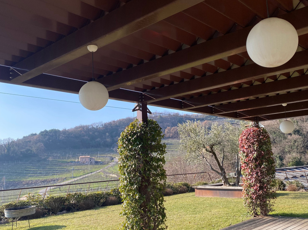 Azienda Agricola Albino Armani 1607景点图片
