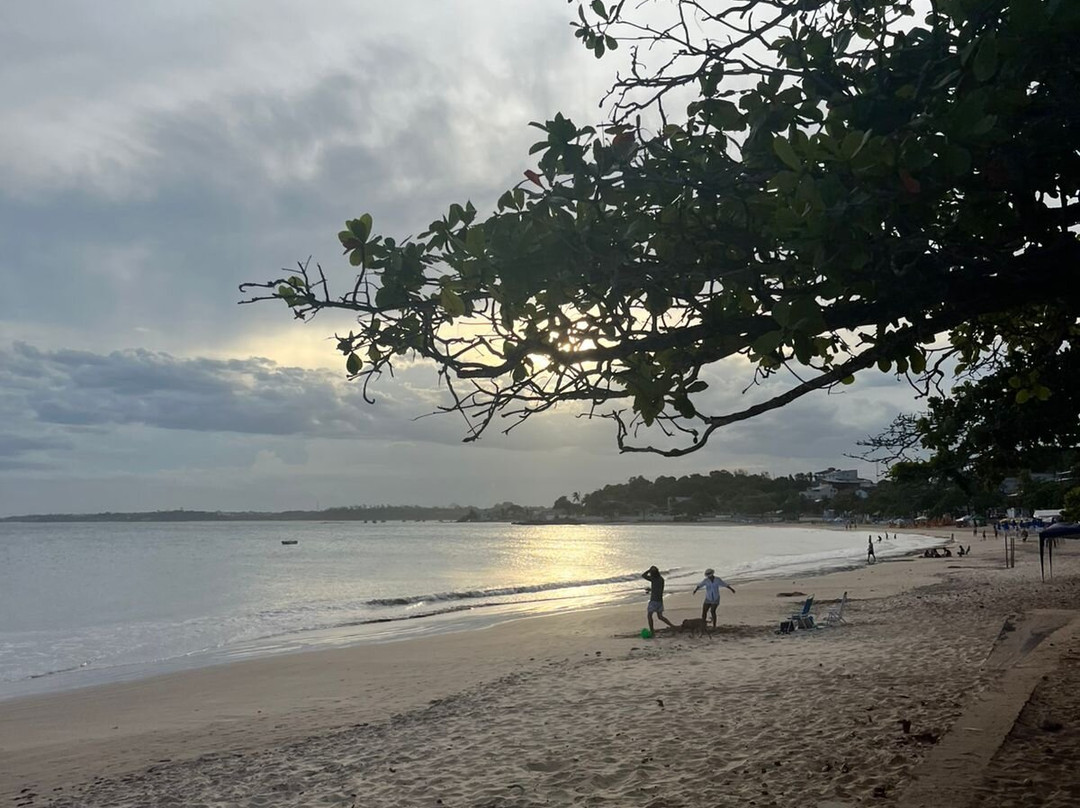 Praia de Ubu景点图片