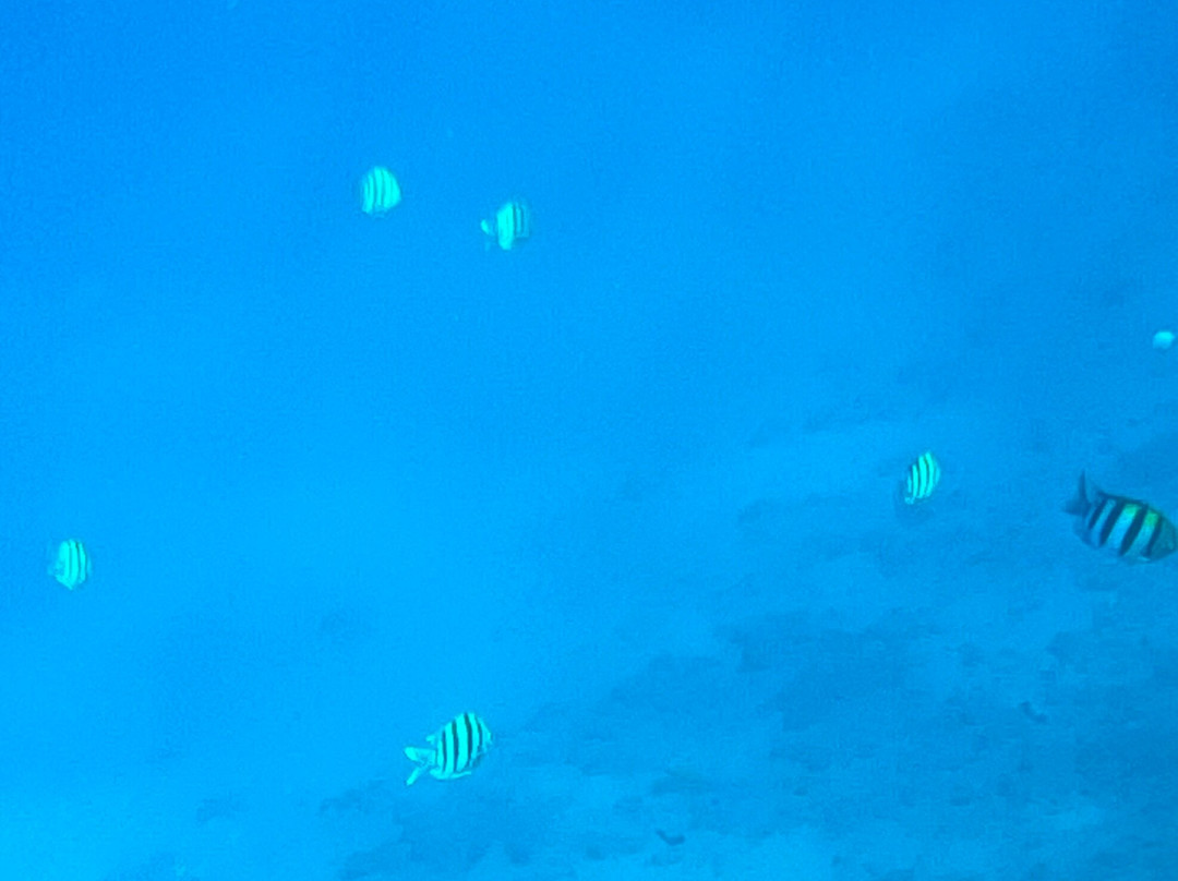 Black Rock Beach-卡纳帕利必去景点