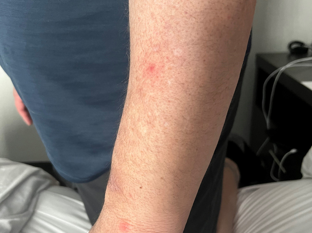 Hampton Inn & Suites Buffalo/airport主图