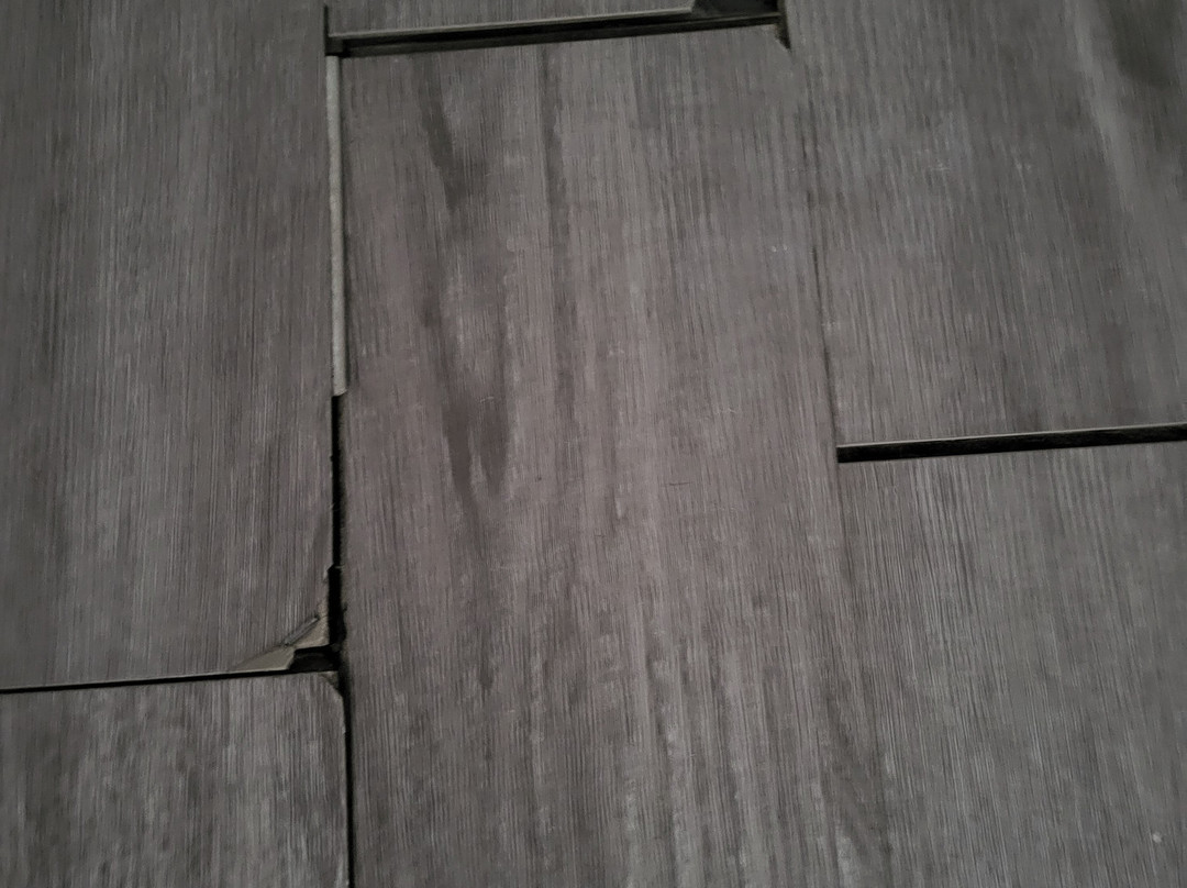 Lincoln Inn Fredericton主图